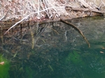 20090216_4.JPG