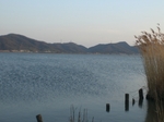 20090311-1.JPG