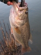20090311-4.JPG