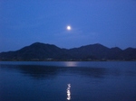 20090311-6.JPG