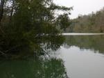 20090402-8.JPG