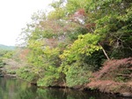 20091025-1.JPG